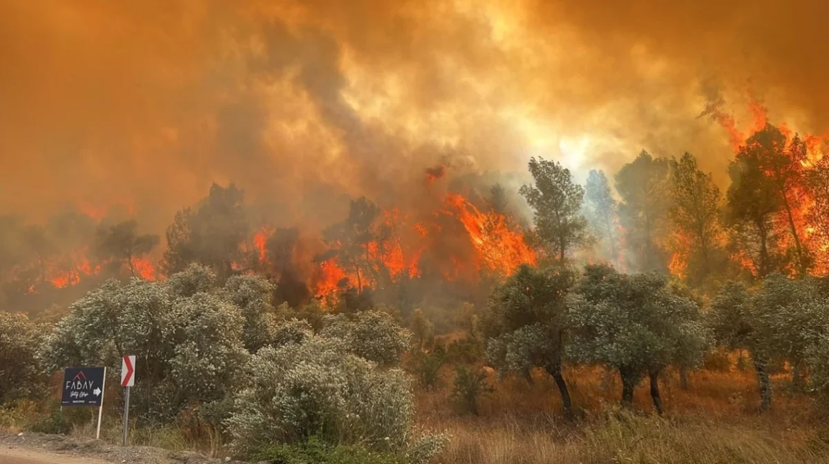 Muğla'daki yangın son durum nedir? Muğla'daki yangın söndürüldü mü? Muğla'daki yangın nerede çıktı?