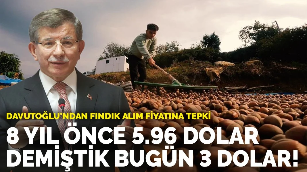 Davutoğlu'ndan fındık alım fiyatına tepki: 8 yıl önce 5.96 dolar demiştik bugün 3 dolar!