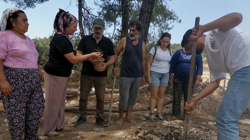 İkizdere’de Cengiz’den kurtarılan fidan Akbelen’de