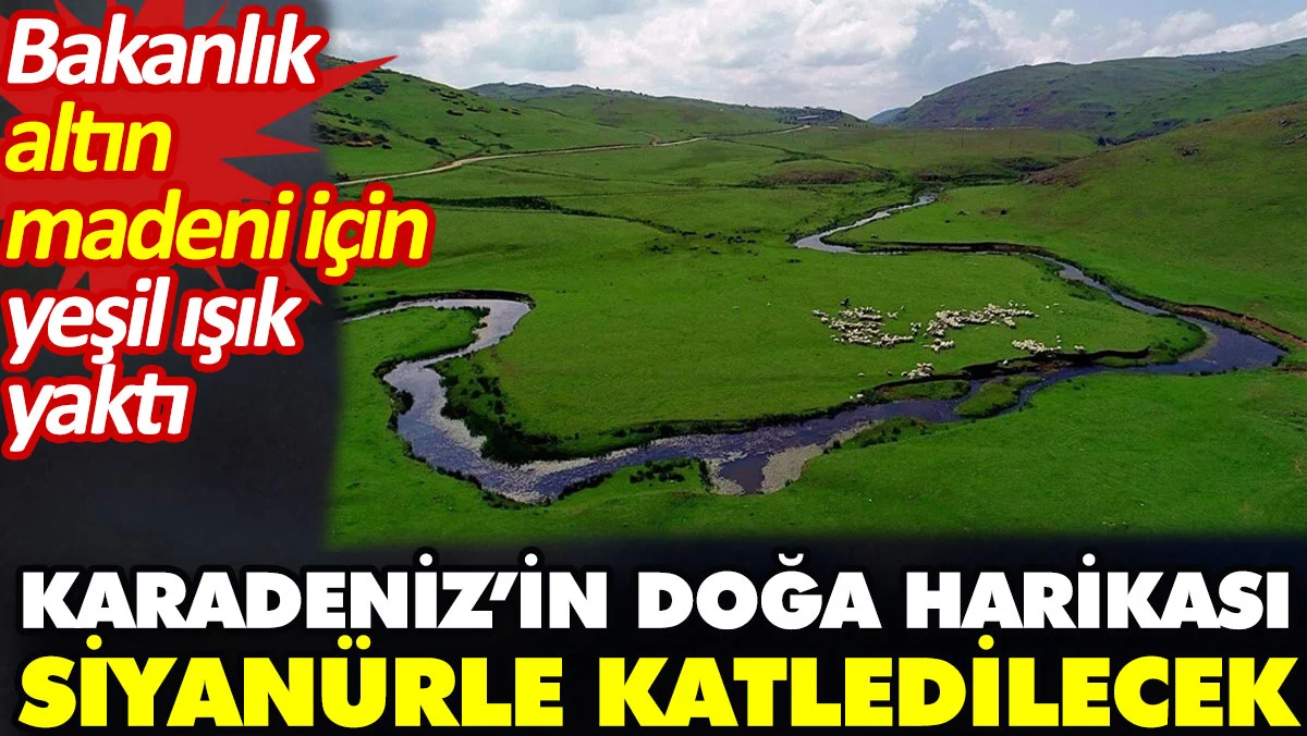 Karadeniz’in doğa harikası siyanürle katledilecek. Bakanlık altın madeni için yeşil ışık yaktı
