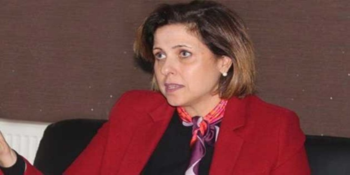 İlay Aksoy kimdir? Kaç yaşında, nereli, mesleği ne, hangi partili?