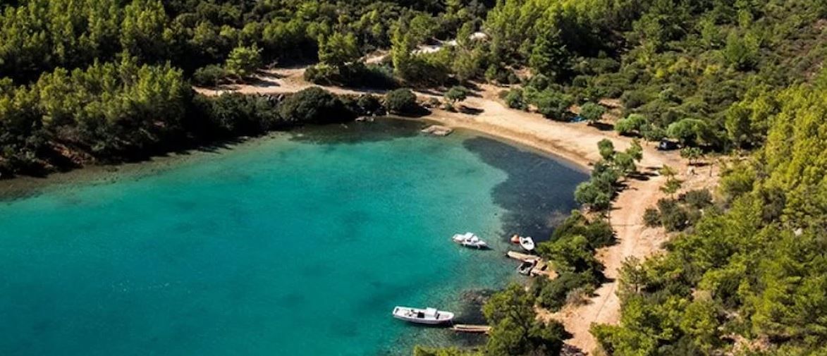 Mehmet Cengiz ve Fettah Tamince ranta doymuyor! Bodrum Cennet Koyu'nda Erdoğan faktörü