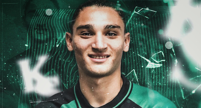 Emir Ortakaya, Kocaelispor'da