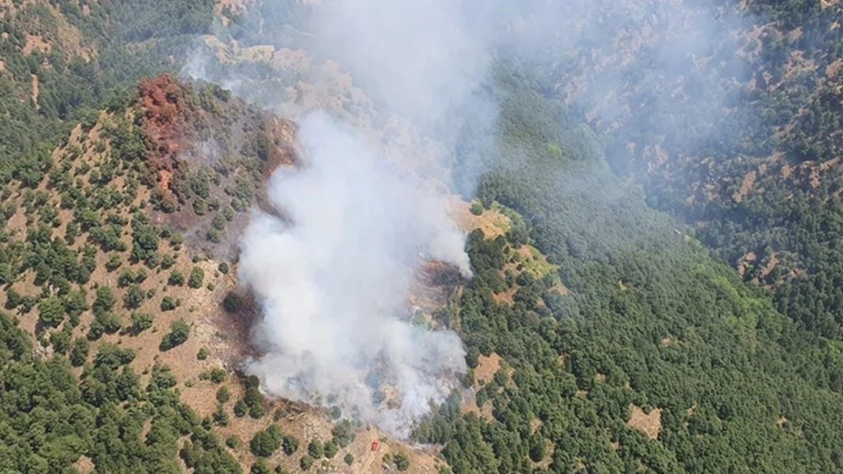 Denizli, İzmir ve Manisa'da orman yangını: Bölgede soğutma çalışmaları yapılıyor