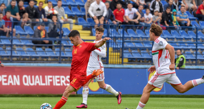 Giresunsporlu Savicevic'e milli davet