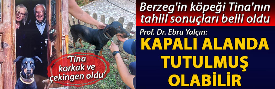 Berzeg'in köpeği Tina'nın tahlillerinden de sonuç çıkmadı