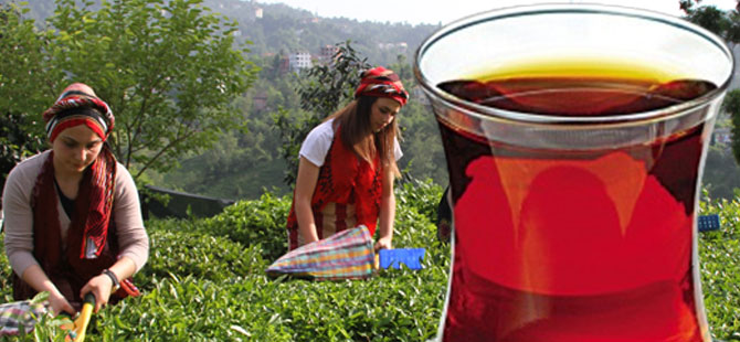 Türk çayı ihracatı 8 ayda yüzde 22 arttı