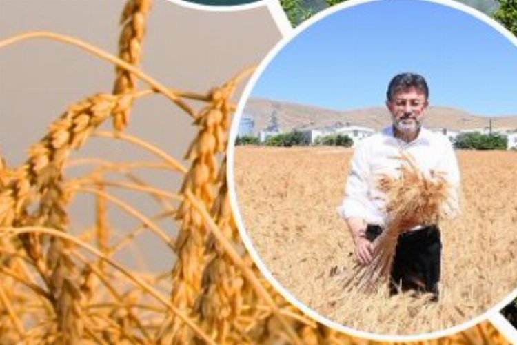 Üretici çiftçiye 11,2 milyar TL'lik destek