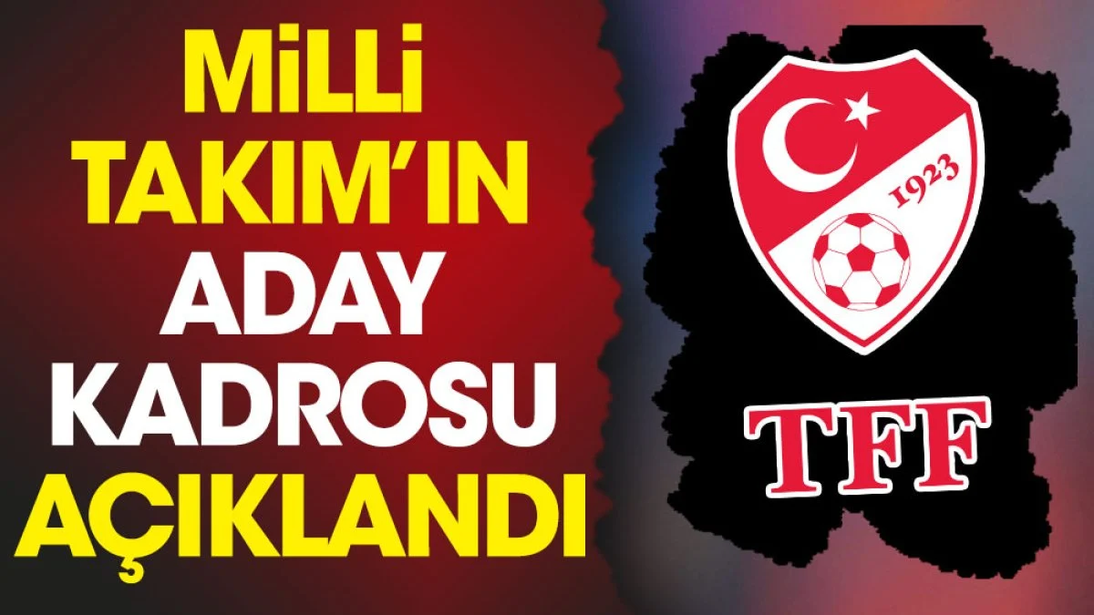 Milli Takım'ın Arnavutluk maçlarının aday kadrosu açıklandı
