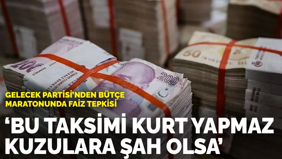 Gelecek Partisi'nden bütçe maratonunda faiz tepkisi