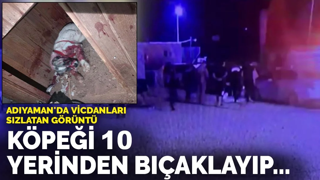 Destansı hazine davalık oldu: Okyanusun dibinde üç asırdır bekliyordu...