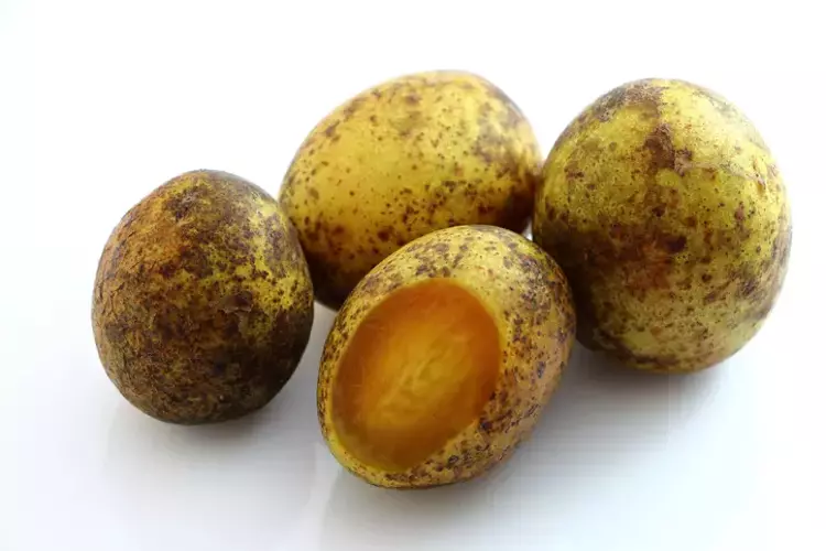 Limondan 60 kat fazla C vitamini içeriyor! Ormanlarda kendiliğinden yetişiyor, bedava vitamin deposu...