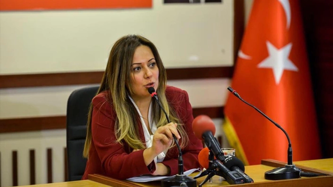 CHP Kültür Politikalarından Sorumlu Genel Başkan Yardımcısı Koza Yardımcı Kimdir, kaç yaşında, nereli, nerenin milletvekili?
