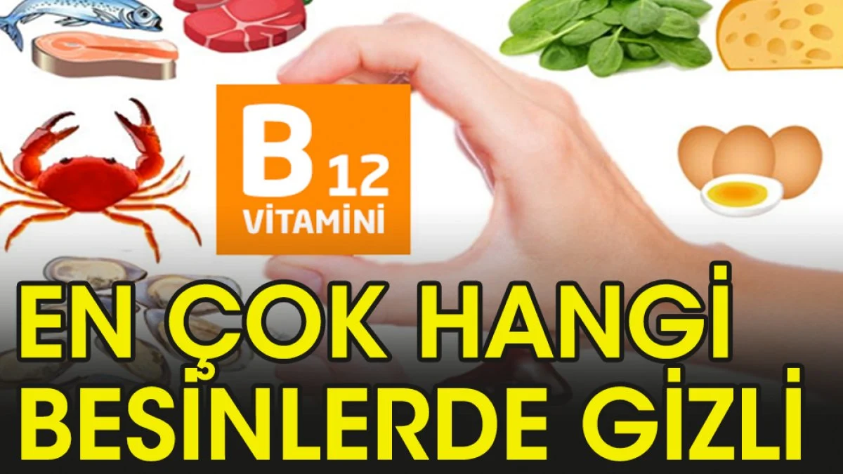 B12 hangi besinlerde gizli