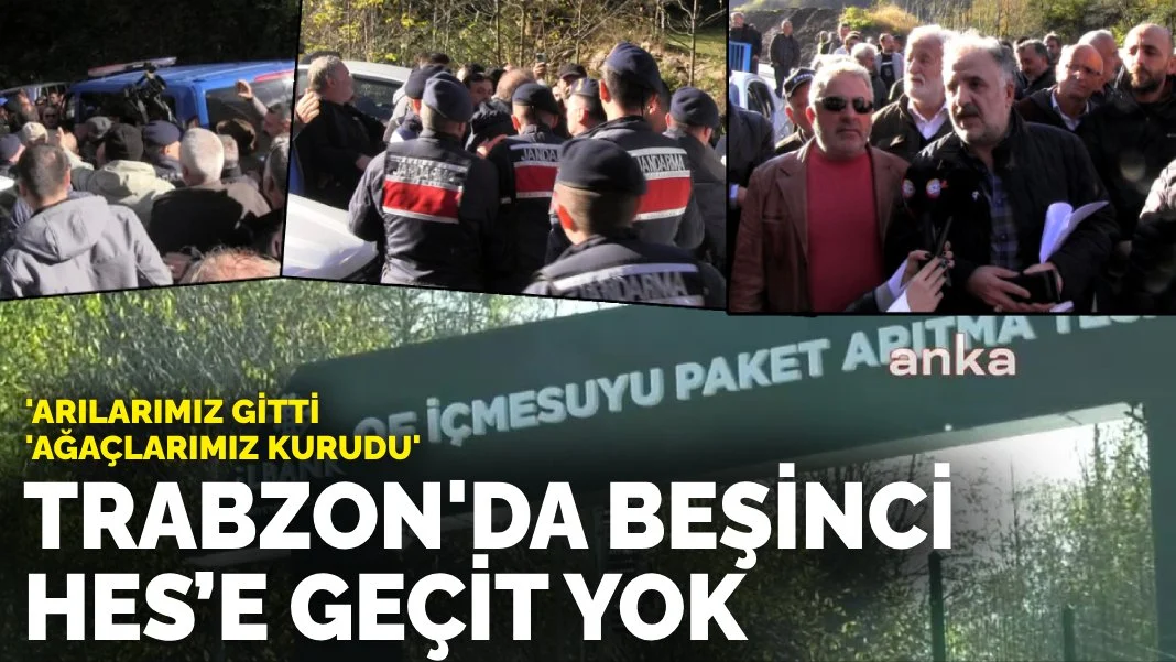 Trabzon'da beşinci HES’e geçit yok! 'Ağaçlarımız kurudu, arılarımız gitti'