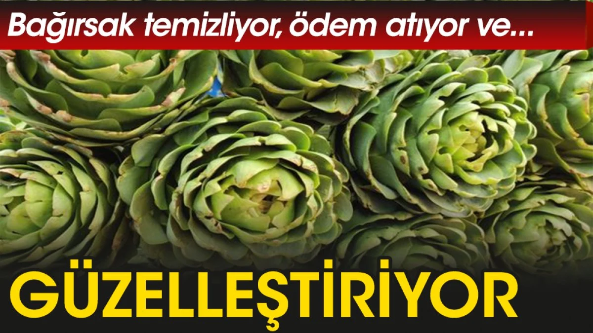 Enginar güzelleştirir mi