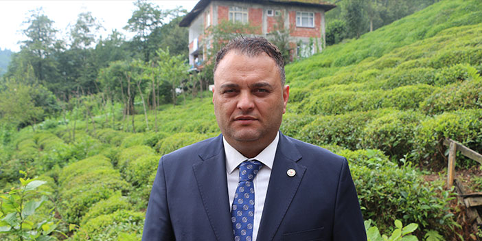 Rize Ziraat Odası Başkanı Arslan’dan Boyalı Çay Uyarısı: “Türkiye Pazarının %35’i Tehlikede”