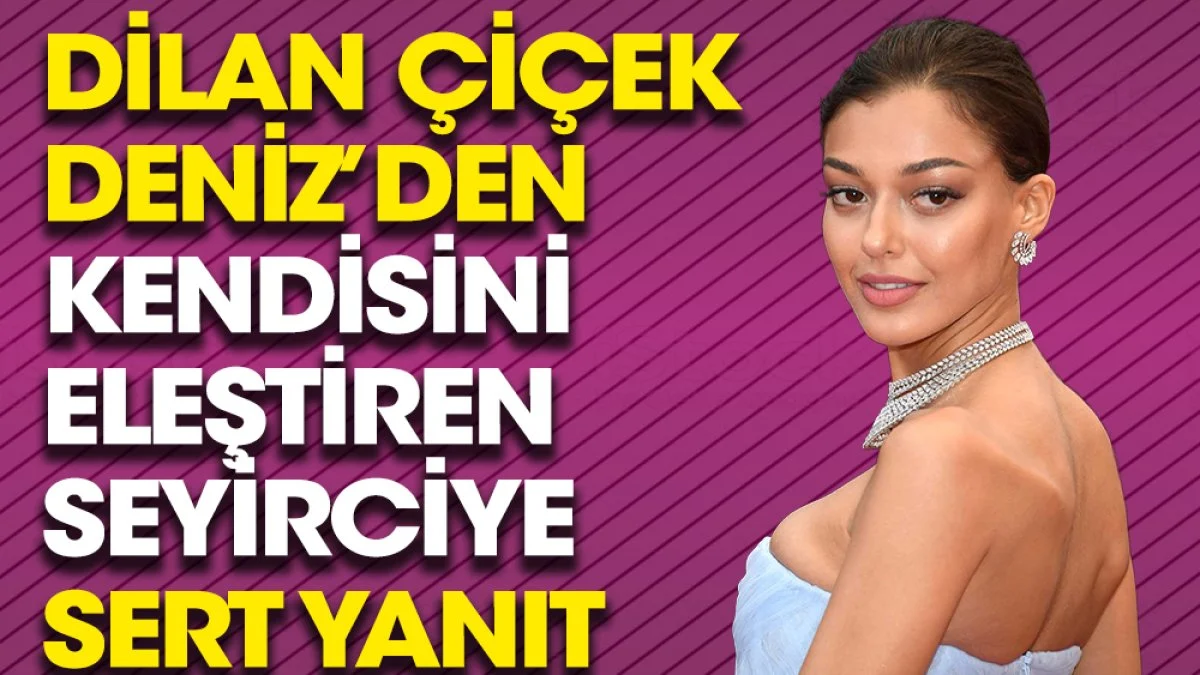 Dilan Çiçek Deniz kendisini eleştiren seyirciye sert yanıt verdi