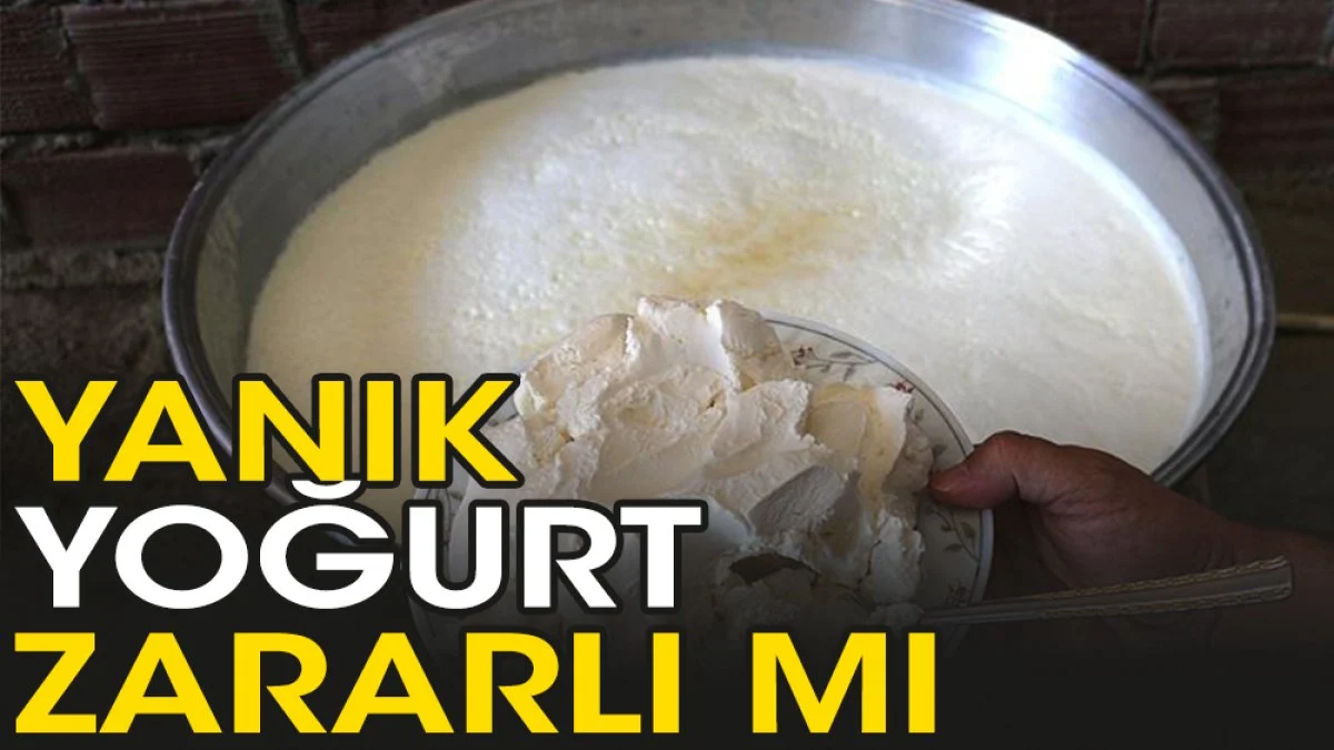 Yanık yoğurt ne işe yarar
