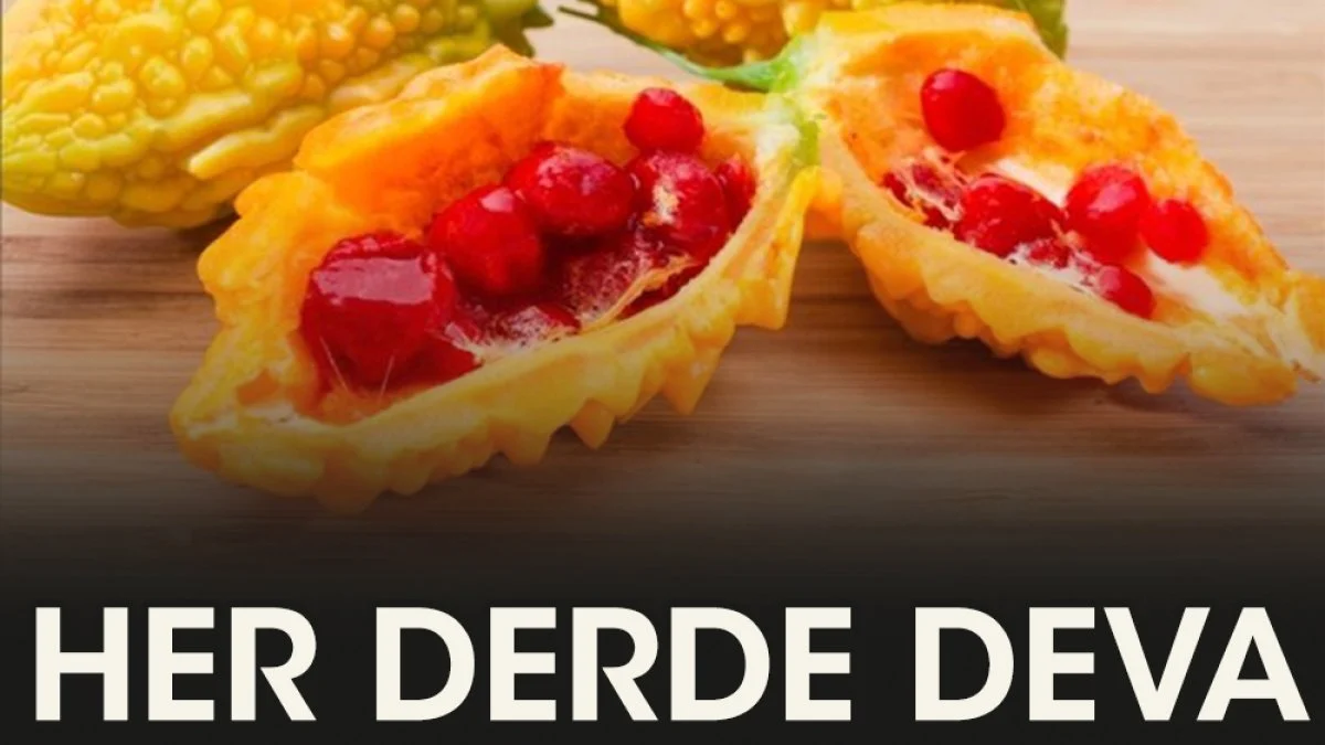 600 yıllık kudretli bir şifa deposu