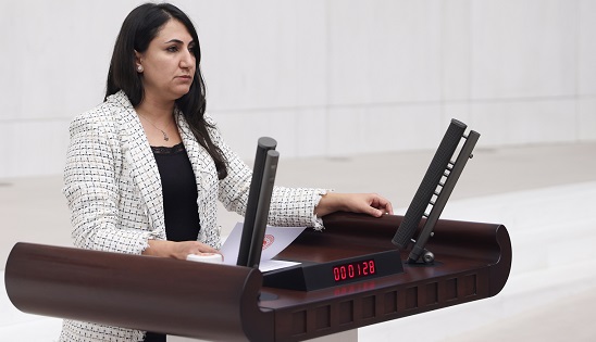 Batman Milletvekili Zeynep Oduncu İçişleri Bakanı Ali Yerlikaya tarafından yanıtlanması istemiyle soru önergesi verdi