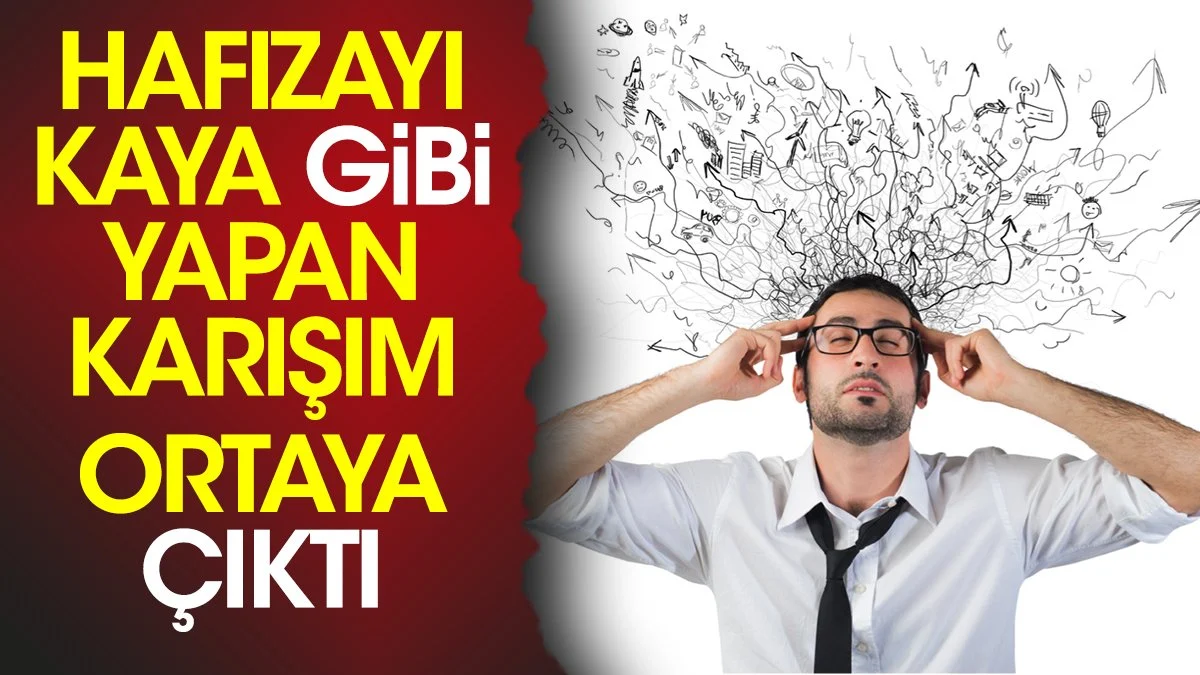 Hafızayı kaya gibi yapan karışım ortaya çıktı