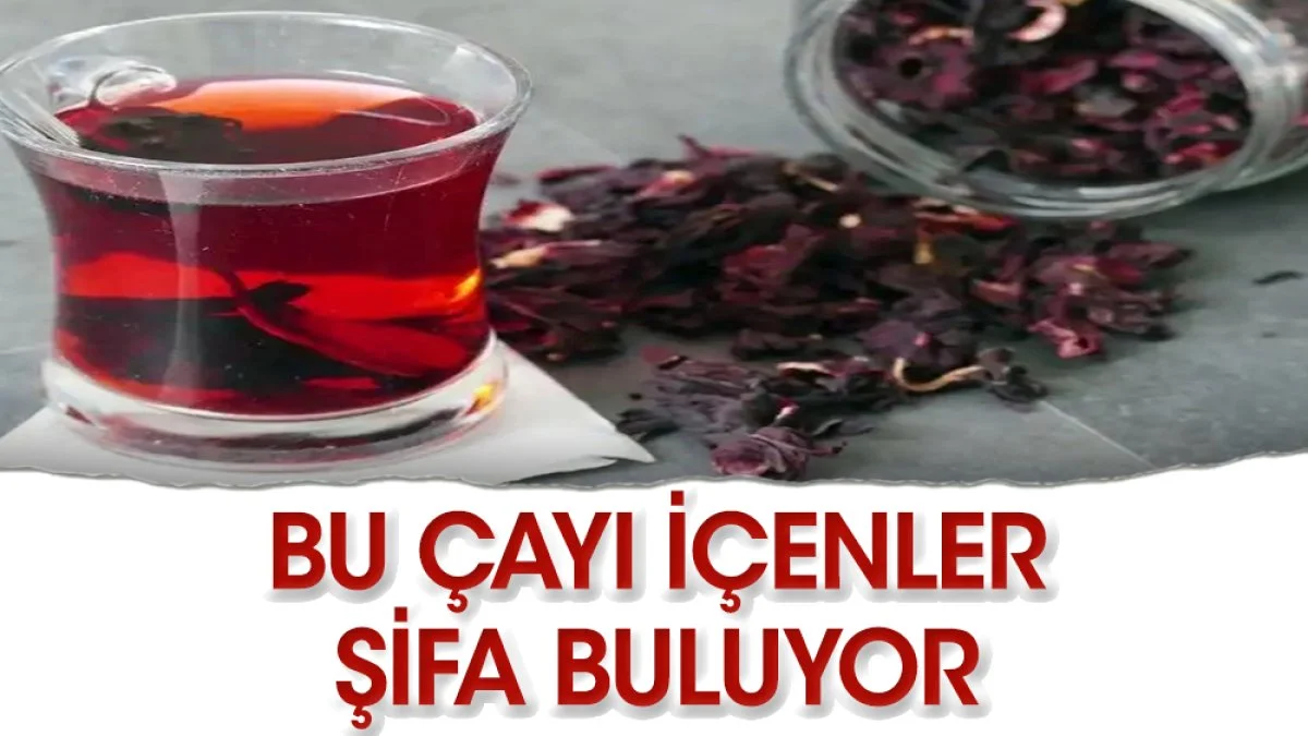 Hibiskus çayı zararlı mı