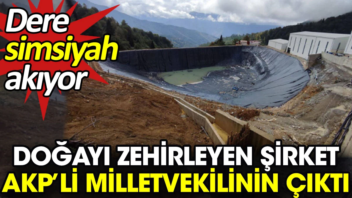 Doğayı zehirleyen şirket AKP’li milletvekilinin çıktı. Dere simsiyah akıyor