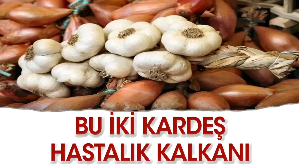 Müthiş ikili nezle grip kalkanı