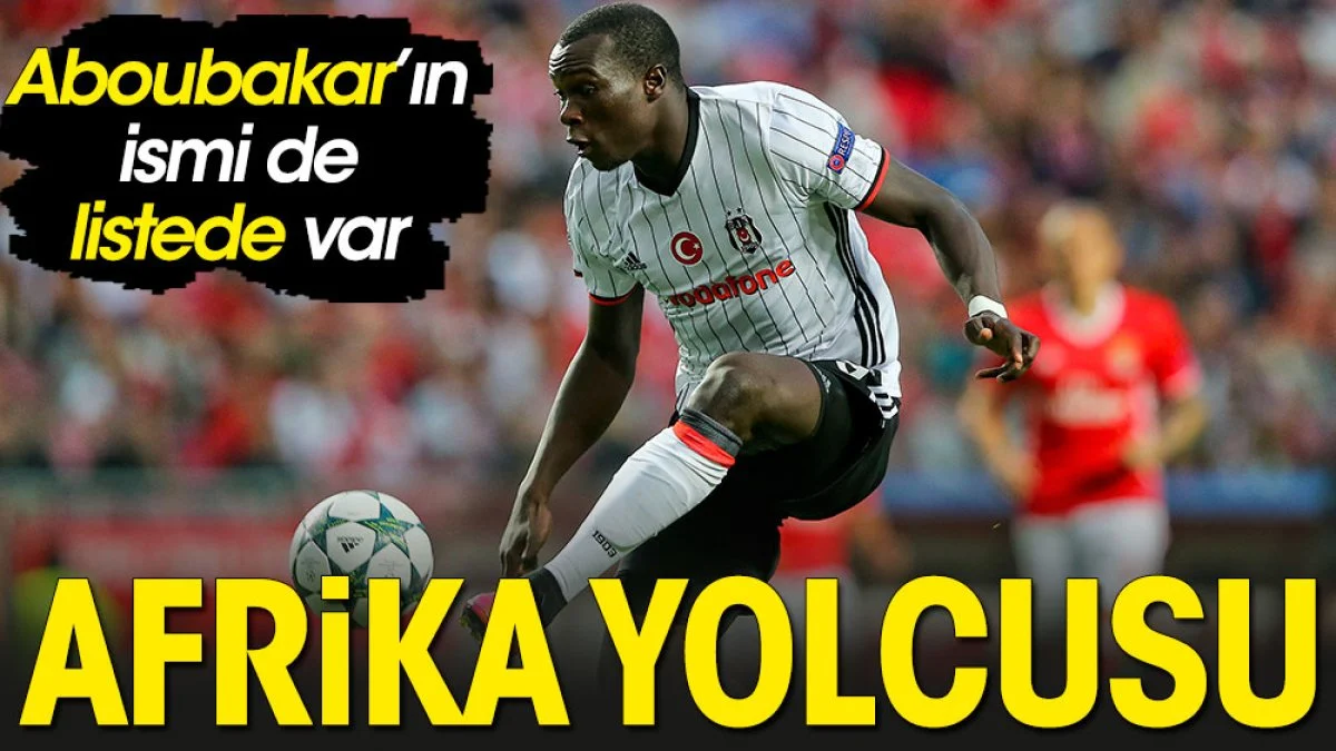 Aboubakar Afrika yolcusu