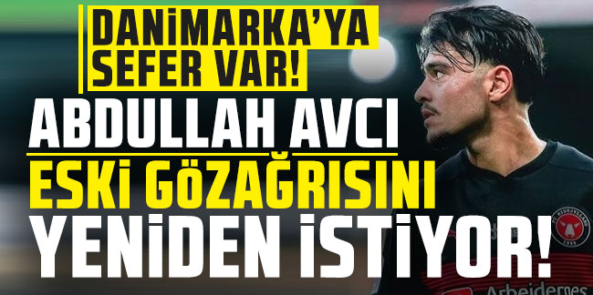 Abdullah Avcı eski göz ağrısını yeniden istiyor! Danimarka'ya sefer var!