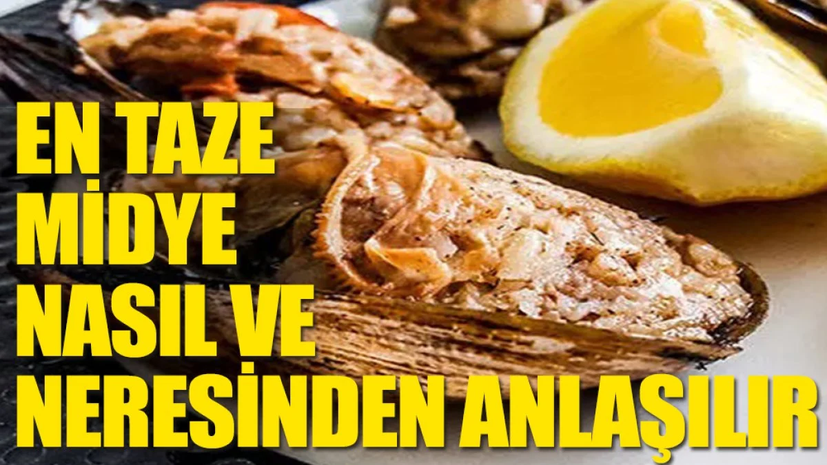 En taze midye nasıl anlaşılır