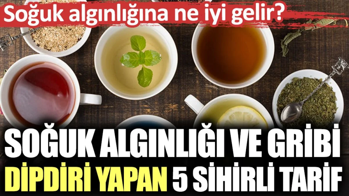 Soğuk algınlığı ve gribi dipdiri yapan 5 sihirli tarif. Soğuk algınlığına ne iyi gelir?