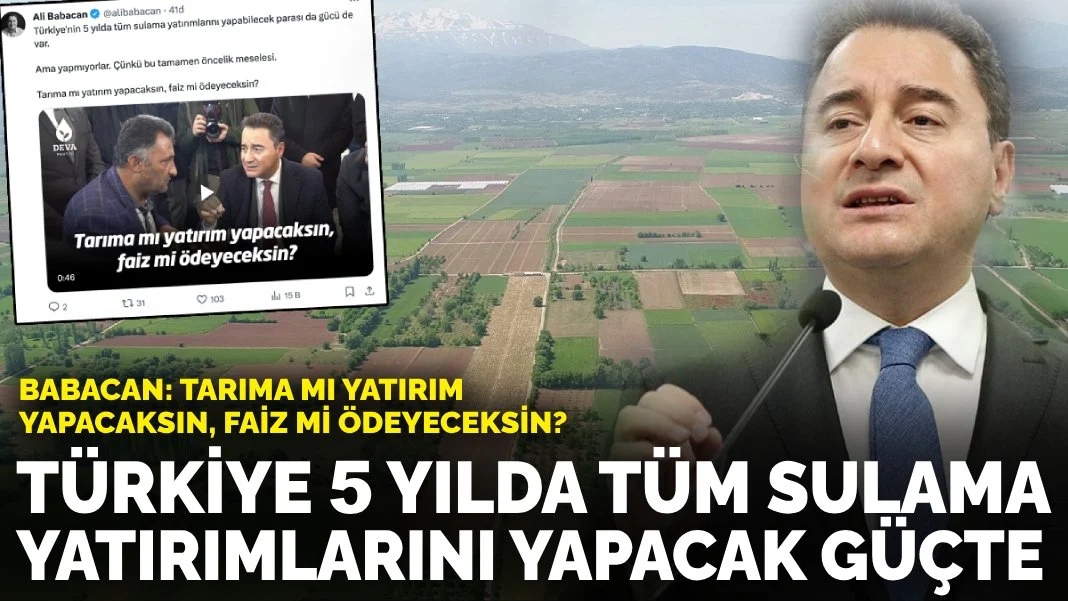 Babacan: Tarıma mı yatırım yapacaksın, faiz mi ödeyeceksin?