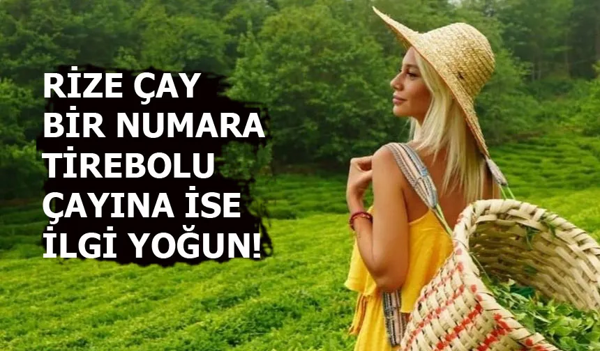 Çayın başkenti Rize'de Rize Çayı Bir Numara