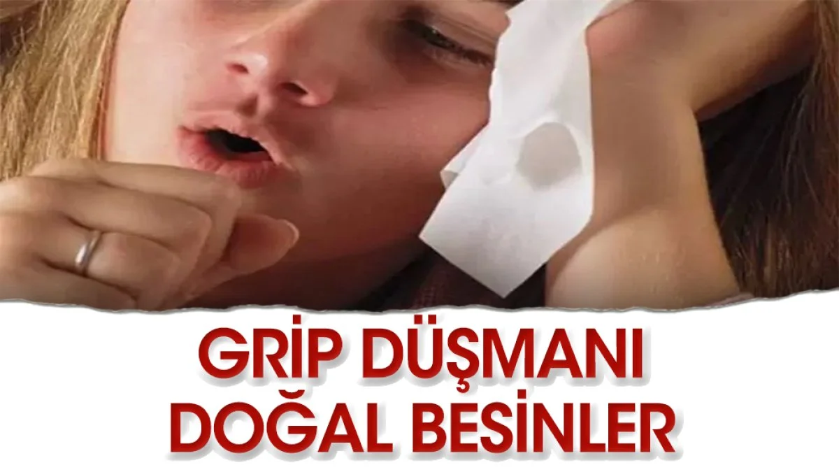 Grip savaşçısı besinler