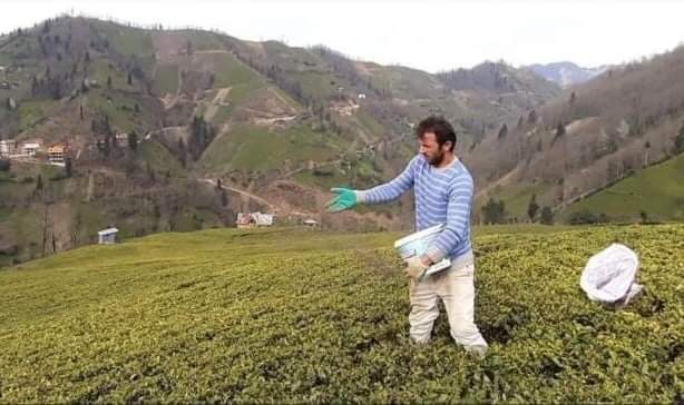 Bu Fiyat Üreticiyi Perişan Eder!