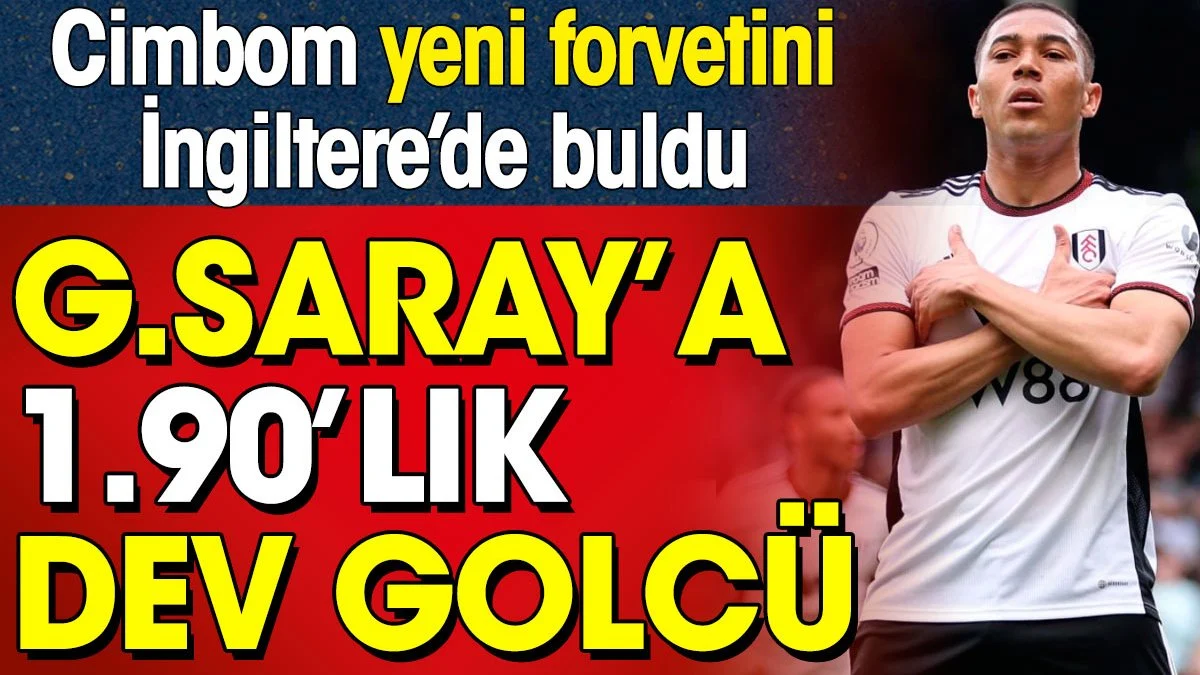 Galatasaray'a Premier Lig'den 1.90'lık golcü