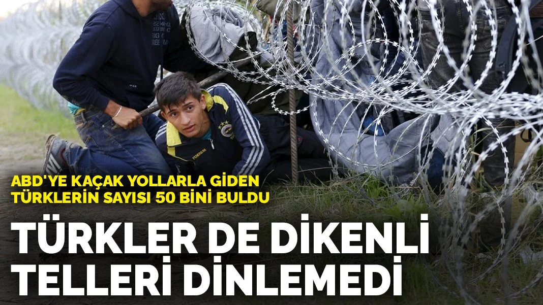 ABD'ye kaçak yollarla giden Türklerin sayısı 50 bini buldu: Türkler de dikenli telleri dinlemedi