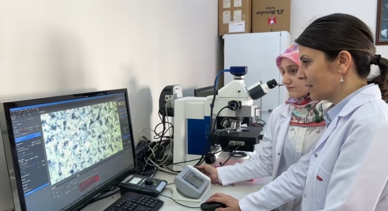 Öğretim Üyemiz Kanserli Hücrelerin İyileştirilmesine Yönelik 3B Tümör Modeli Geliştiriyor
