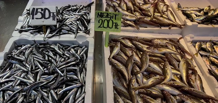 Trabzonlu Vatandaş Balık Fiyatlarına Tepki Gösterdi: 