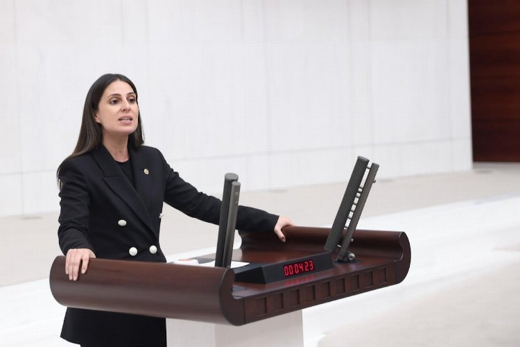 CHP'li Özcan: ″Muğla, turist sayısına göre merkezi bütçeden pay almalıdır″