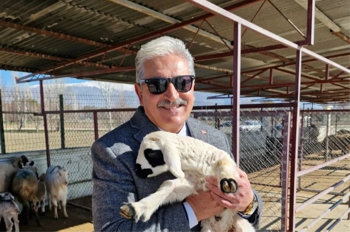 Şafak Soy kimdir? Yeniden Refah Partisi Erzincan Belediye Başkan Adayı Şafak Soy kaç yaşında ve nereli?