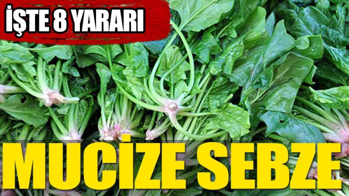 Ispanak’ın müthiş yararları