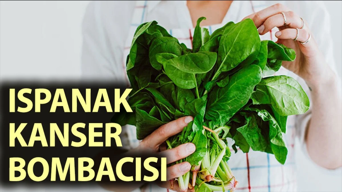 Ispanak kanser bombacısı