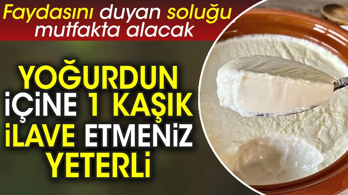 Yoğurdun içine 1 kaşık ilave etmeniz yeterli. Faydasını duyan soluğu mutfakta alacak