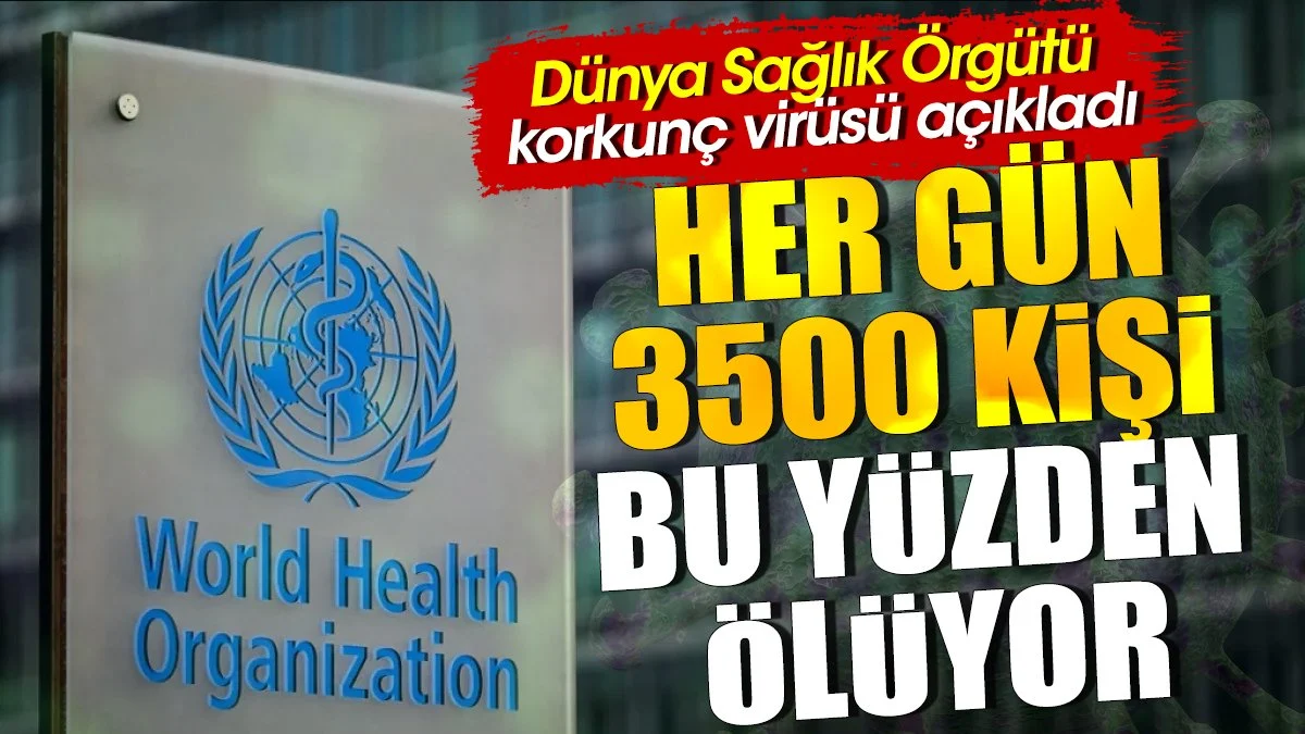 Her gün 3500 kişi bu yüzden ölüyor. Dünya Sağlık Örgütü korkunç virüsü açıkladı