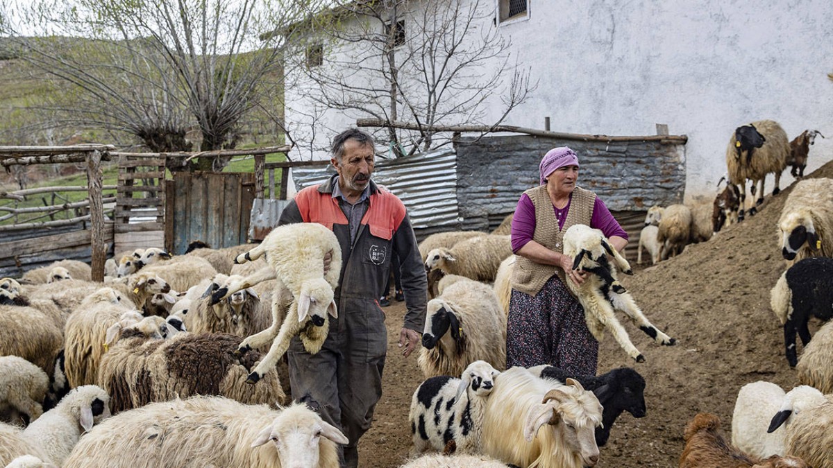 Üretici can çekişiyor