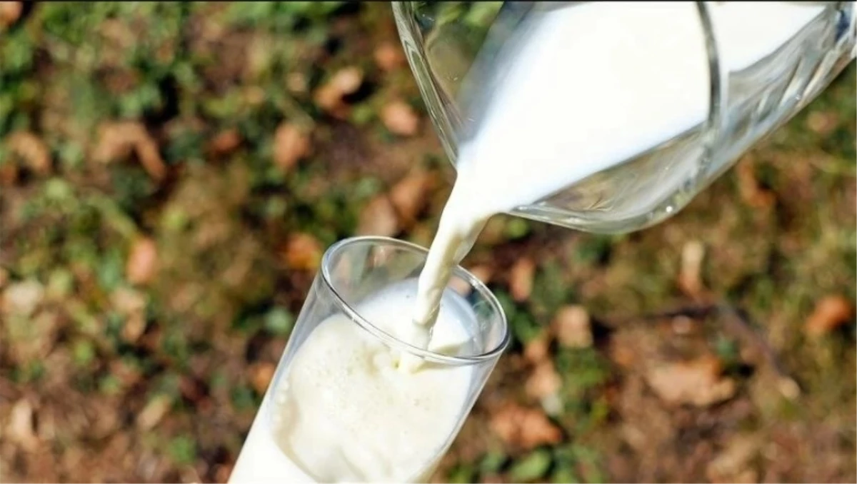 Süt fiyatları ne kadar oldu 2024? Çiğ süte zam geldi mi?