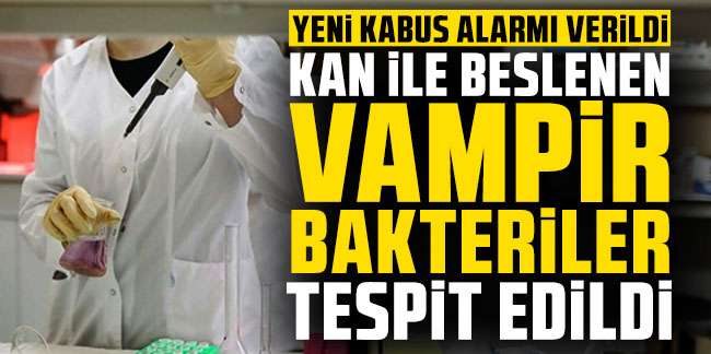 Yine yeniden ölümcül bakteri alarmı: Vampir gibi kan emiyor
